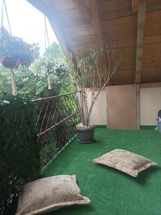 Apartmani Marija Zemun Zemun Polje Kültér fotó